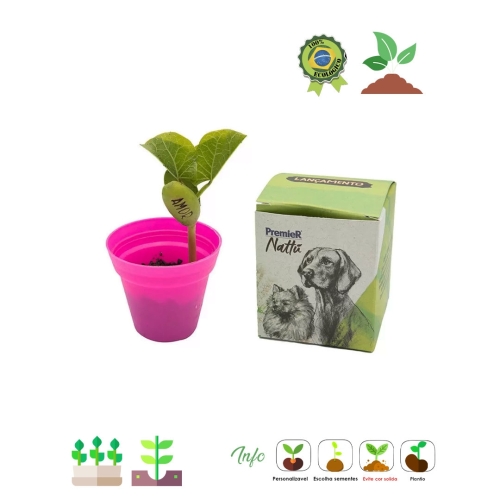 Kit Ecobox Semente magica 05 523-05523