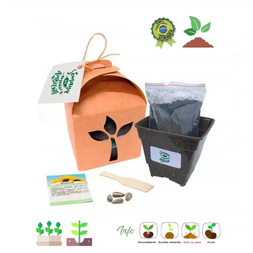 Kit Kraft com Sementes-Kit Kraft com Sementes