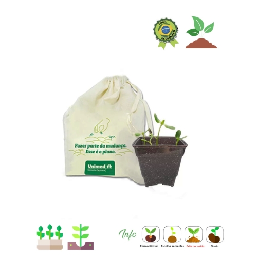 Kit cultivo no saquinho-56972