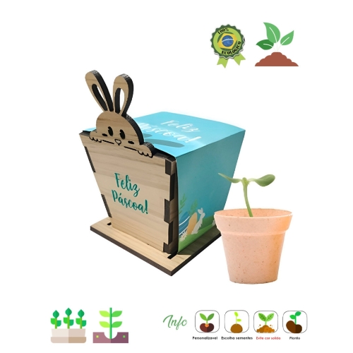 Mini Kit Coelho 810-Mini Kit Coelho 810