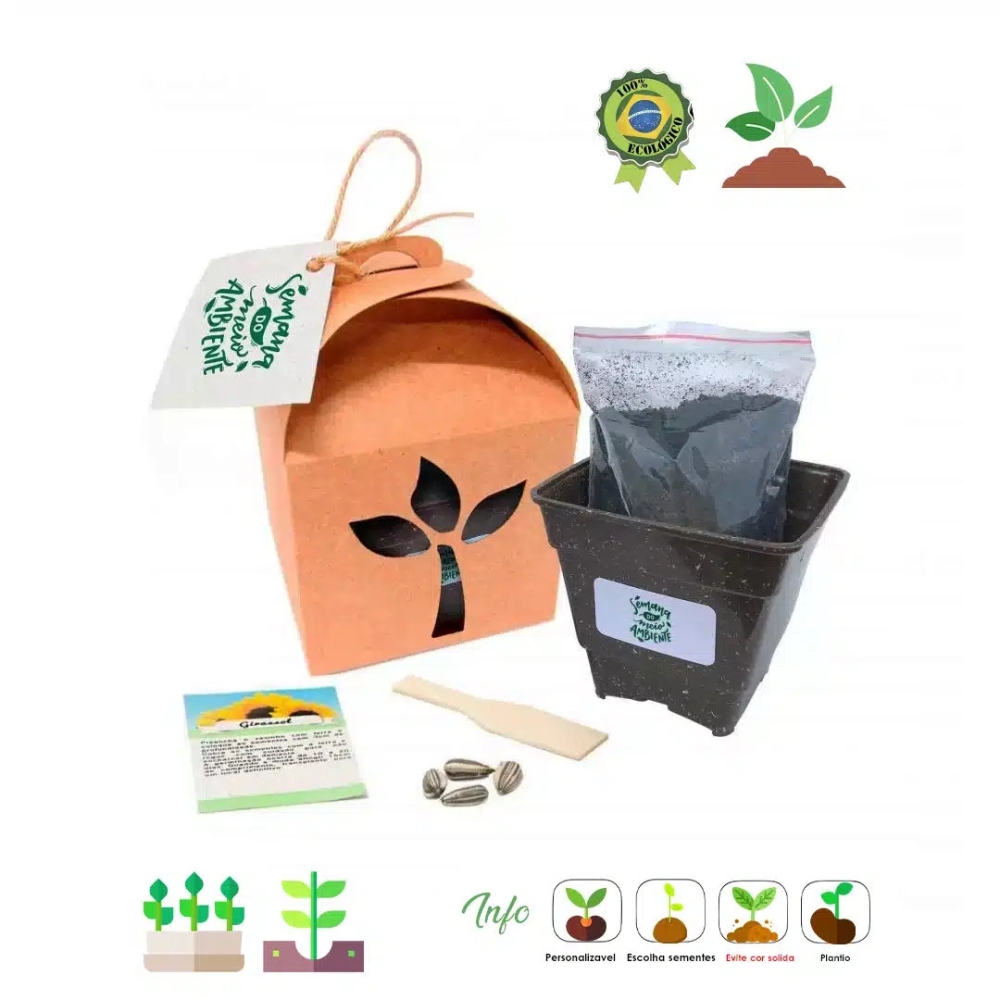 Kit Kraft com Sementes-Kit Kraft com Sementes