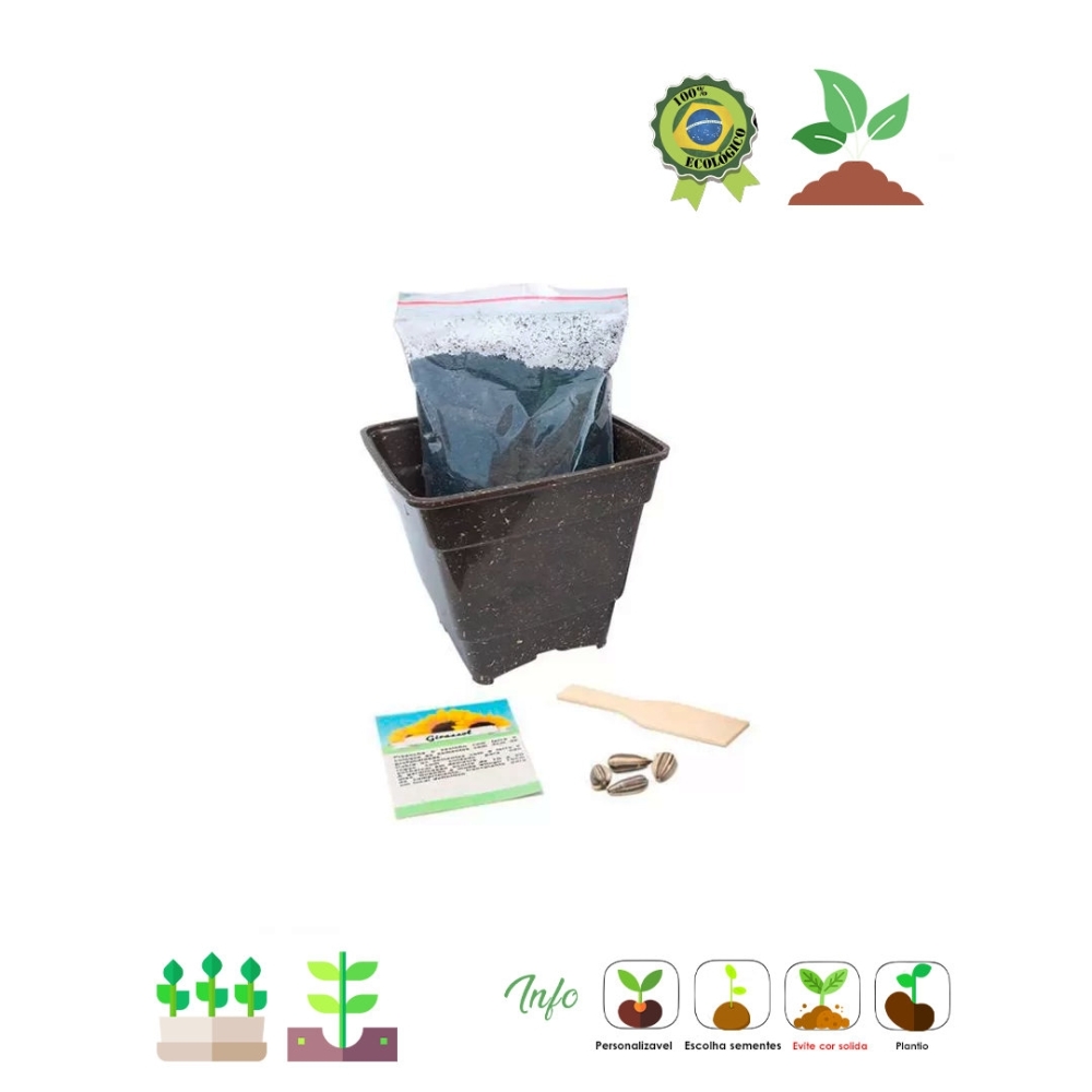 Kit cultivo no saquinho