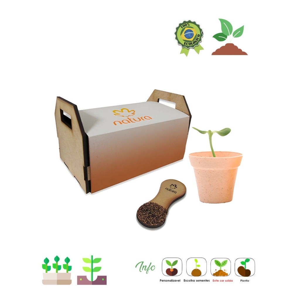 Kit mini horta pazinha 683