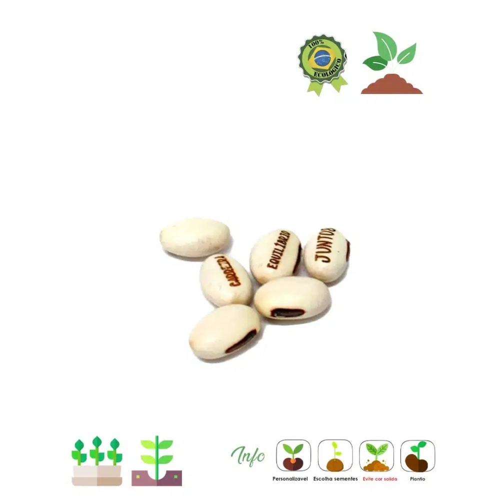 Semente mágica no saquinho 01 012